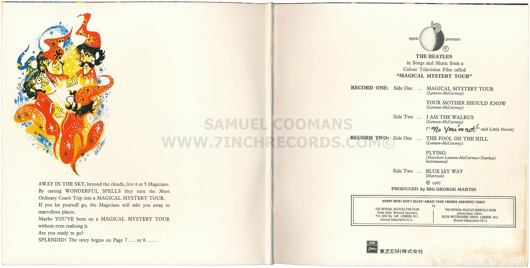 Inner Flaps of sleeve