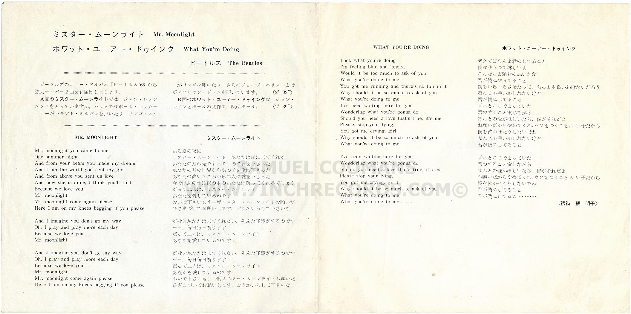 Inner Flaps of sleeve